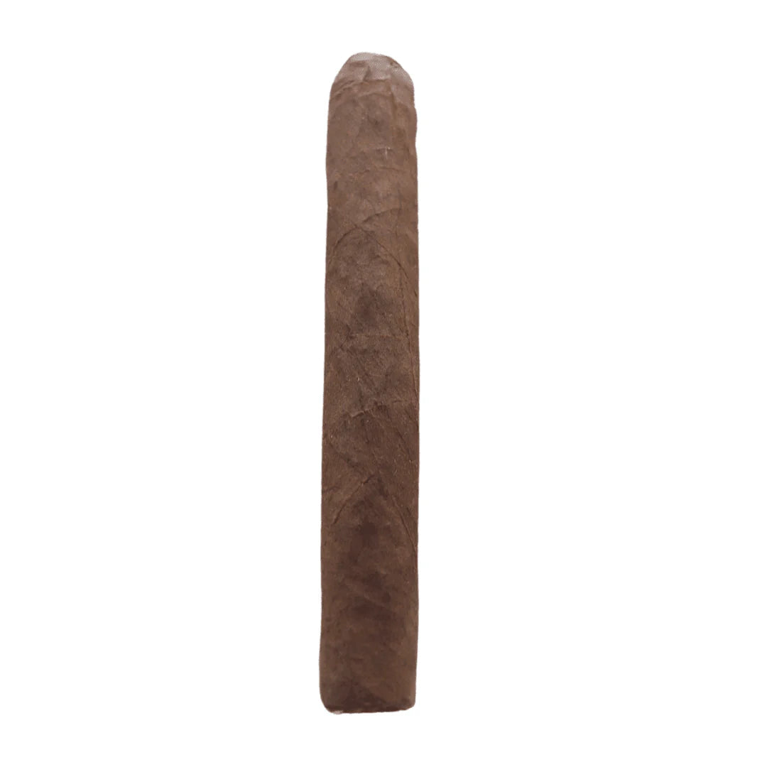 Arista Chicos Maduro 5 pack